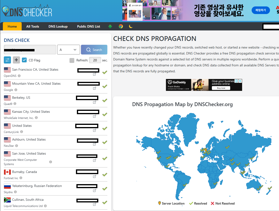 dnschecker.org A 레코드 전파 확인 화면