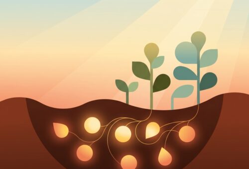 파주 2027년 유기질비료 지원사업 신청 7월 10일 마감 — 신청 시기 11월→6~7월 변경, 농업인 주의
